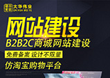 网站建设常见类型分析——网站建设公司